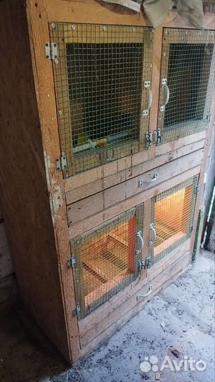 Брудер для цыплят