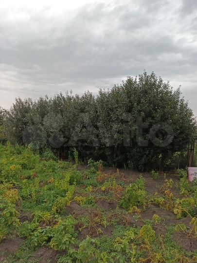 Дача 30 м² на участке 4 сот.