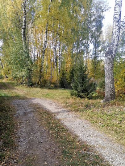 Участок 10 сот. (СНТ, ДНП)