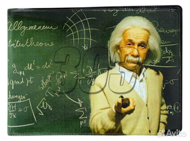 Обложка на зачётку Эйнштейн у доски (42295)