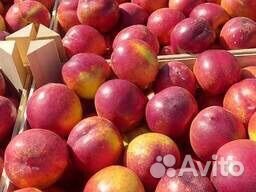 Нектарины (Азейрбайджан) Спелый