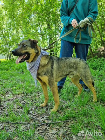 Предательски вернули как ненужную вещь