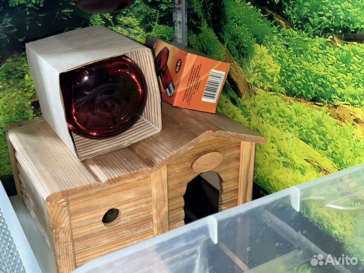 Террариум для рептилий бу