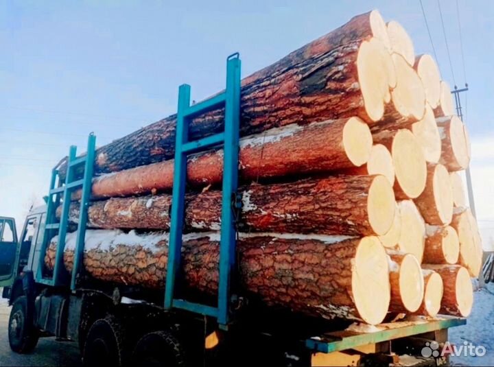 Лес кругляк сосна пилорама