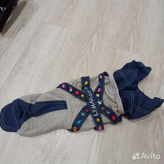 Одежда для собак мелких пород