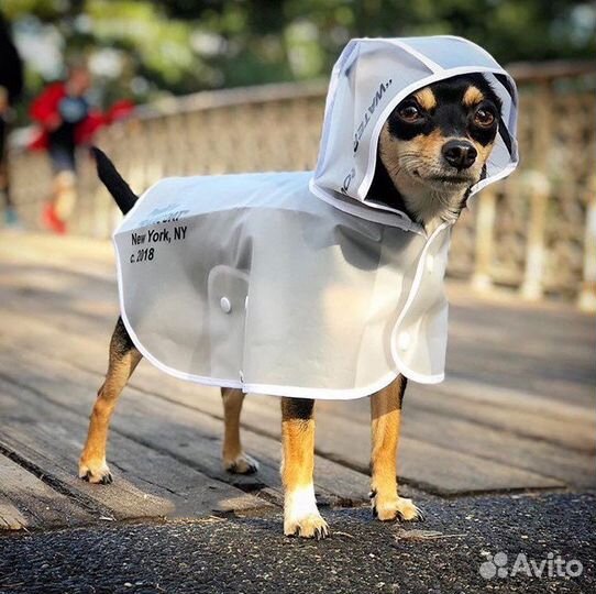 Off-white куртка дождевик для собак dior