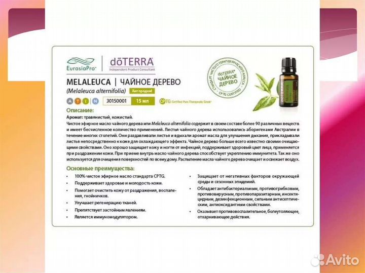 Чайное дерево эфирное масло