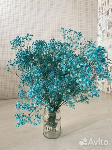 Букет из гипсофилы сухоцвет купить в Санкт-Петербурге | Товары для дома ...