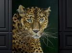 Картина «Леопард» на холсте