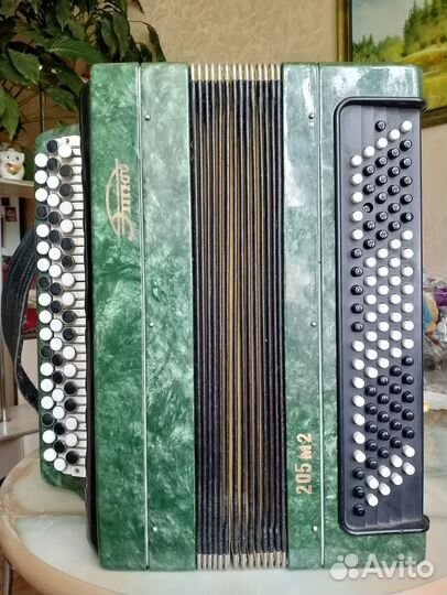 Баян тула этюд 205 м2