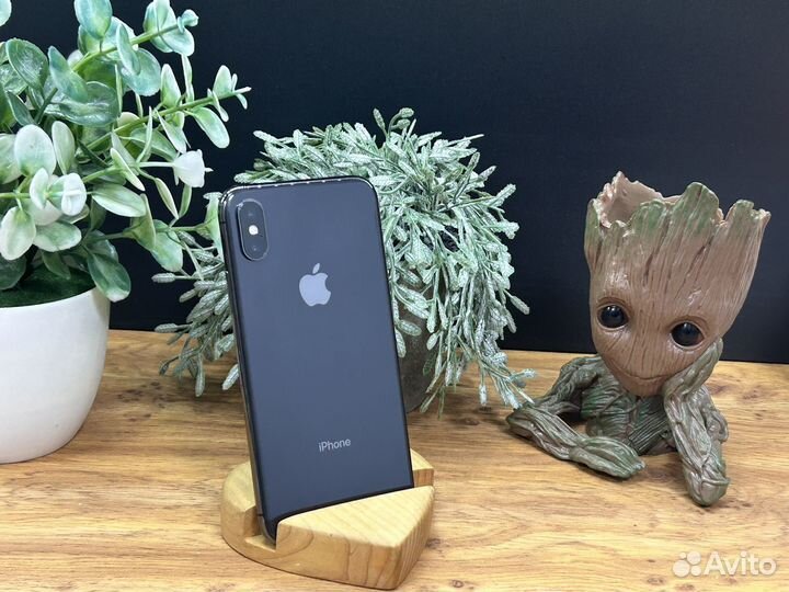 iPhone X, 256 ГБ