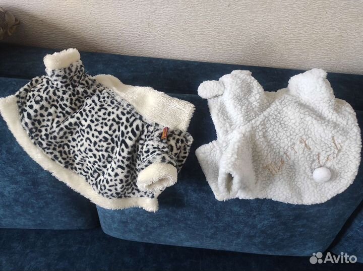 Одежда для собак мелких пород