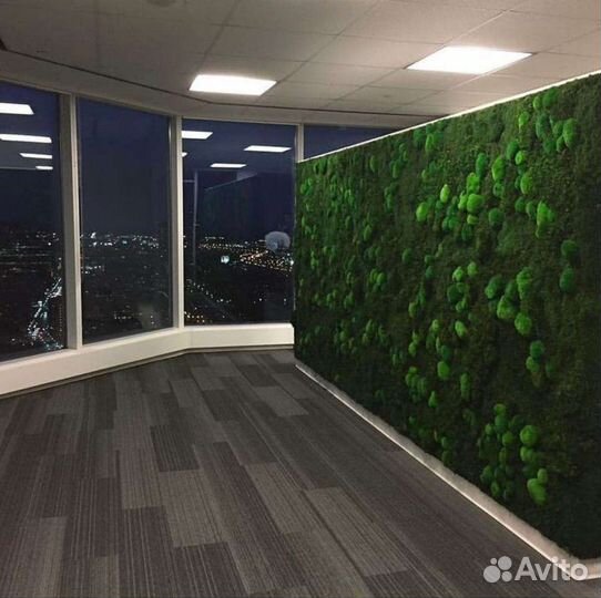 Фитокартина мох