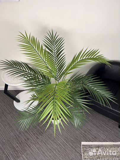 Искусственная пальма