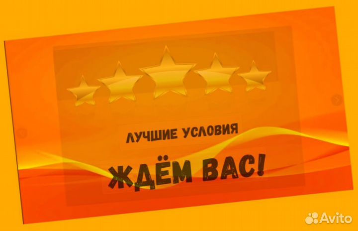 Наборщик Без опыта Еженедельные выплаты