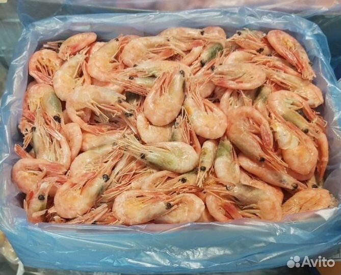 Креветка. Северная. Морепродукты. Икра