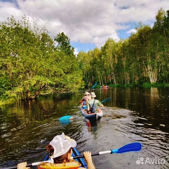 Сап борд аренда