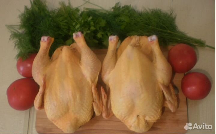 Курица домашняя мясо