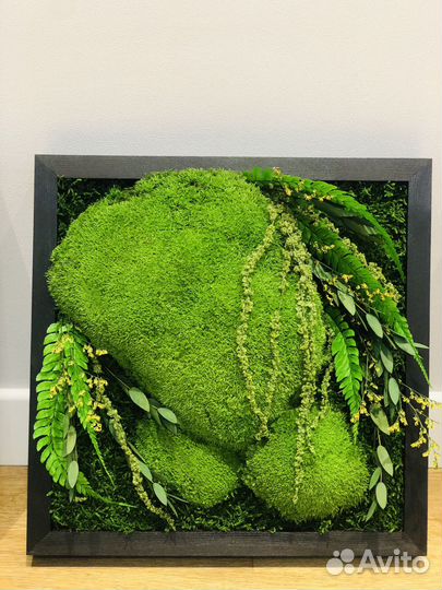 Картина натуральный мох