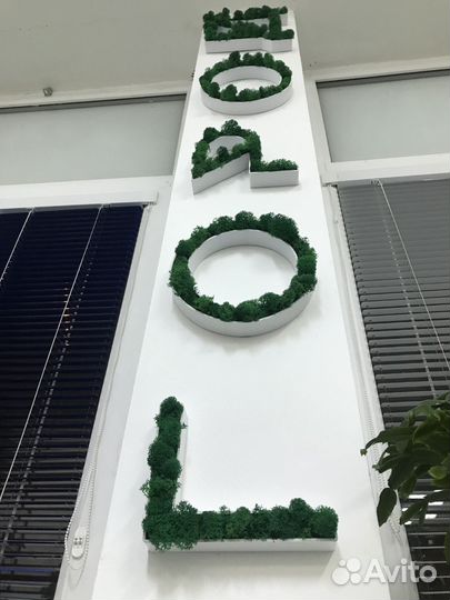 Логотипы буквы вывески надписи мох