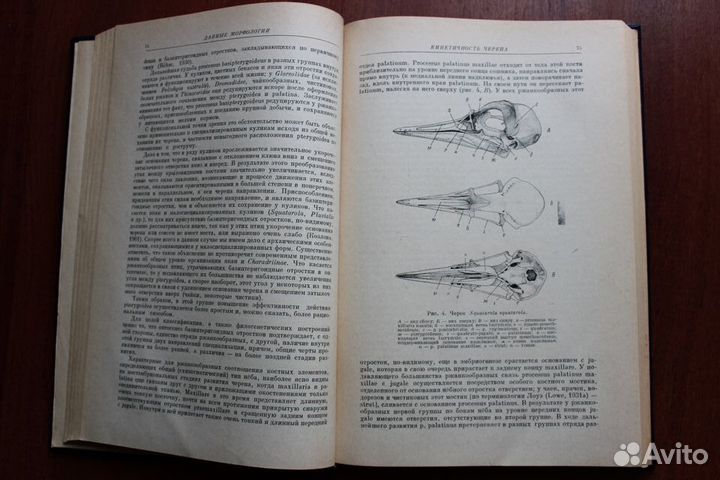 Фауна СССР. Птицы. Том II, выпуск 1, часть 1