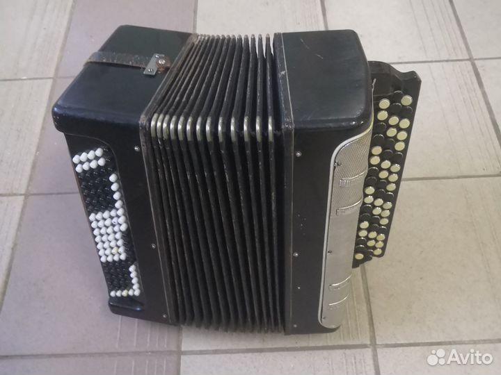 Баян кунгур