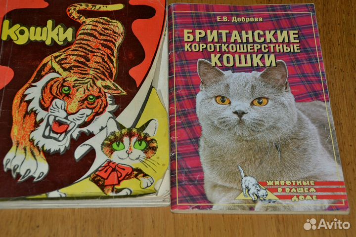 Книги о кошках