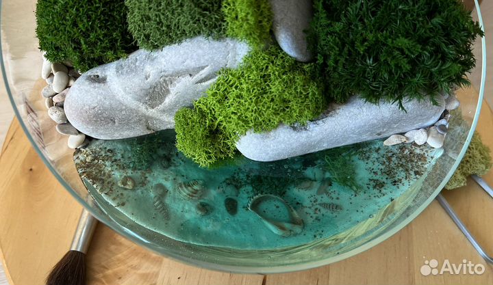 Флорариум с фикусом микрокарпа бонсай