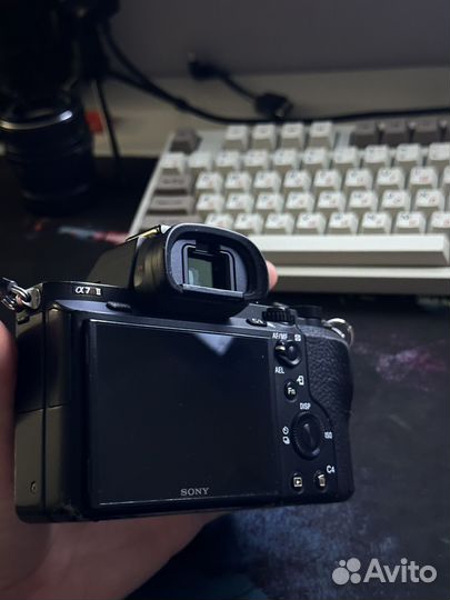 Sony a7r ii (A7R2)