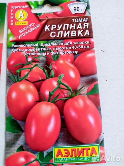 Рассада помидоров томатов