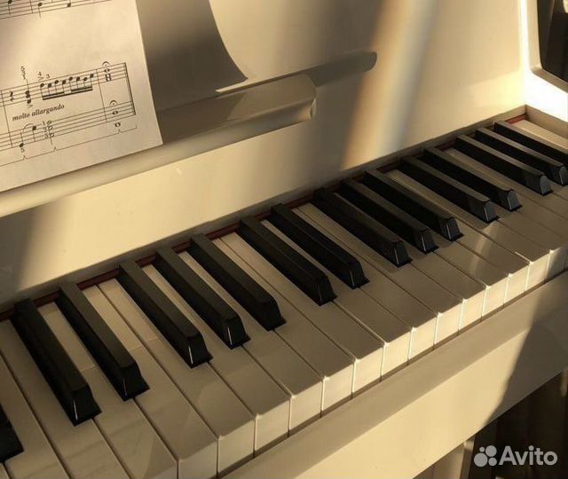 Репетитор по сольфеджио, гармонии и фортепиано