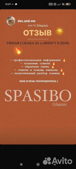 Кинолог. Дрессировщик