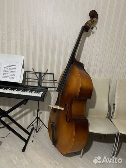 Музыкальные инструмент