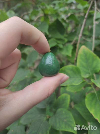 Авокадо фигурка, сувенир, Avocado