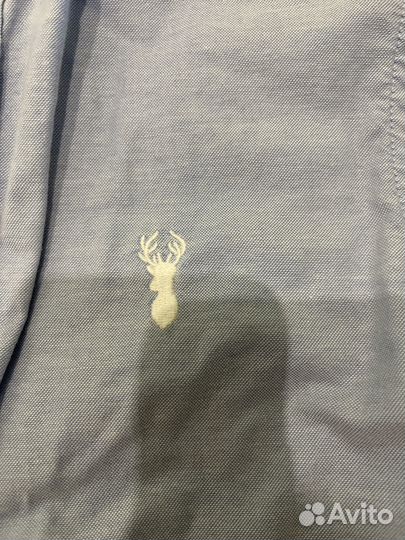 Рубашка next 146