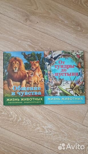 Энциклопедия