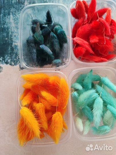 Сухоцветы для творчества лагурус лаванда