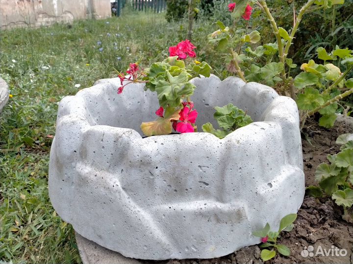 Цветочница уличная 