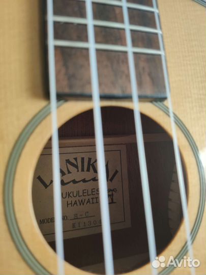 Укулеле концерт