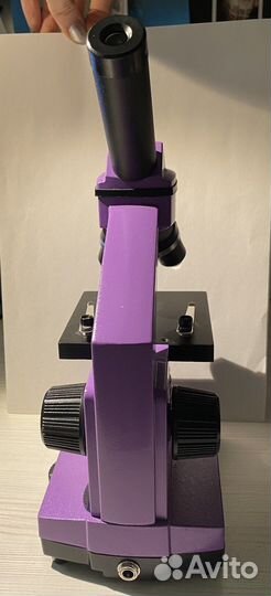 Микроскоп levenhuk Rainbow 2L Amethyst, световой