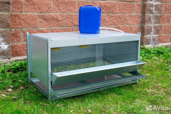 Клетки для бройлеров