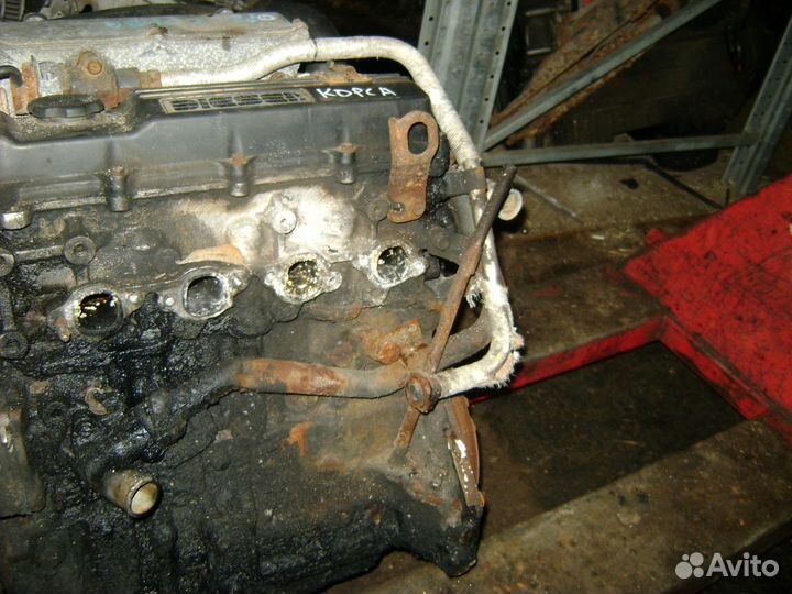 Двигатель Опель дизель мотор Opel diesel