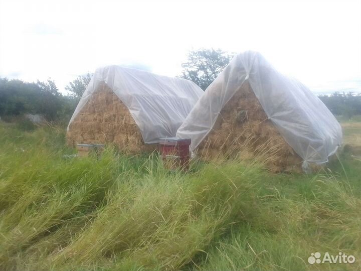 Тюковое сено