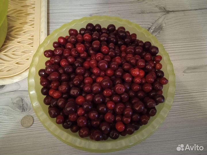 Вишня ягода