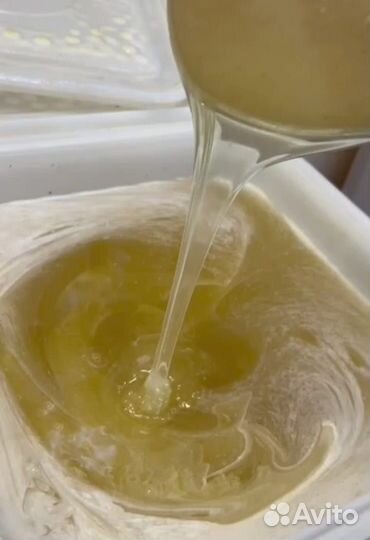 Медовый Алтай