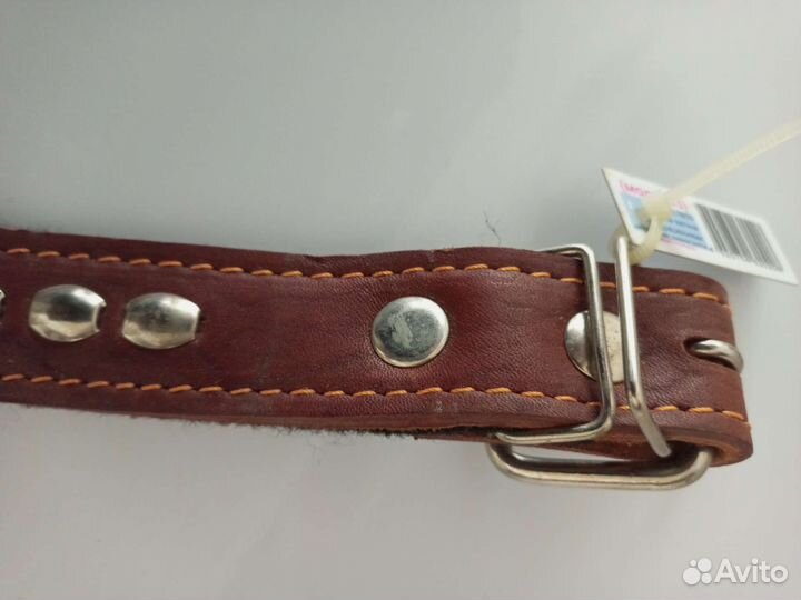 Ошейник для собак