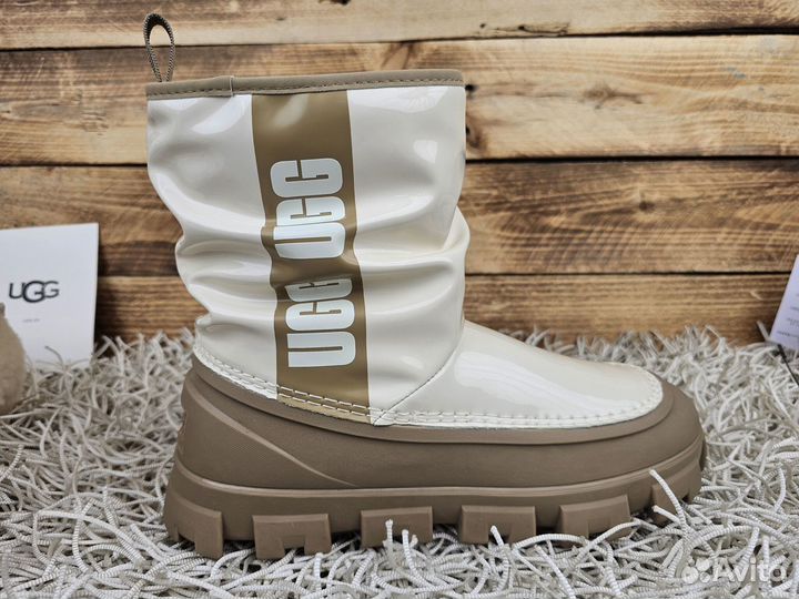 Сапоги UGG Brellah New Must Seed женские оригинал