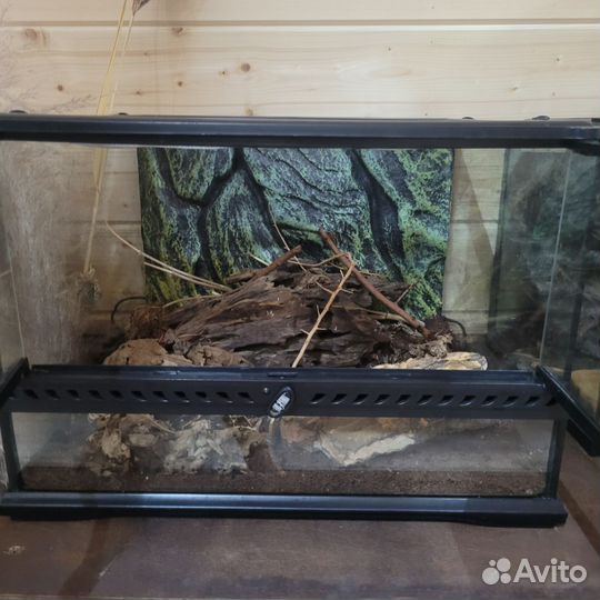 Террариум Exo Terra
