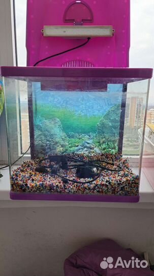 Аквариум