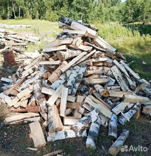 Дрова береза